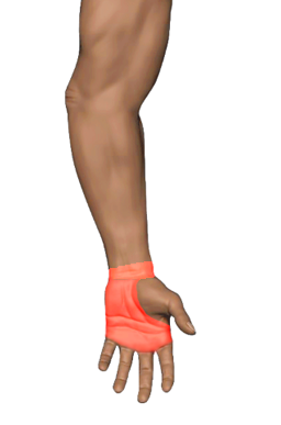 Pain region 2