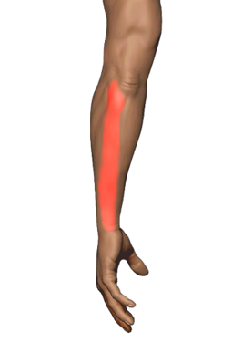 Pain region 4