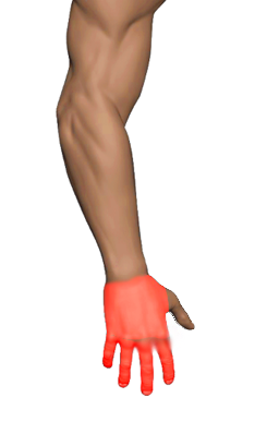 Pain region 6