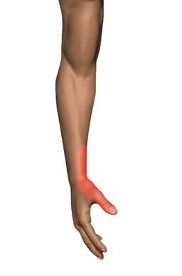 Pain region 7