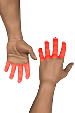Pain region 8